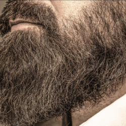 Barba